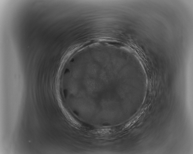 X0000116450049200912081626