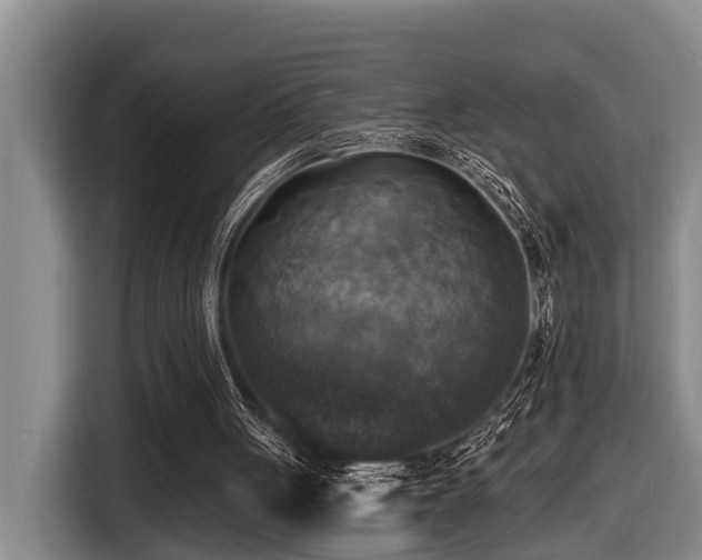 X0000116450051200912081626