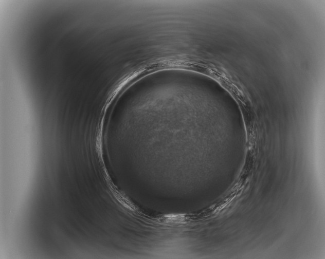 X0000116450052200912081626