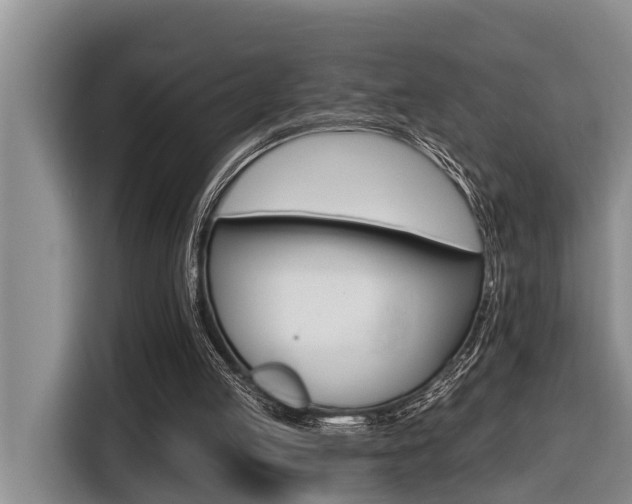 X0000116450053200912081626