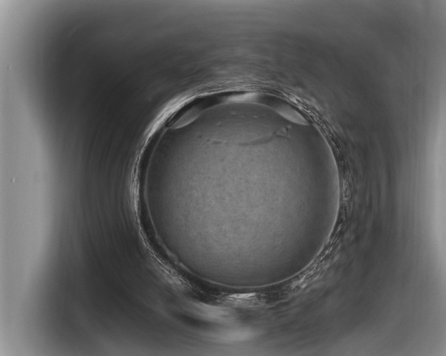 X0000116450054200912081626