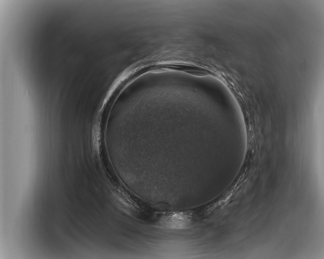 X0000116450056200912081626