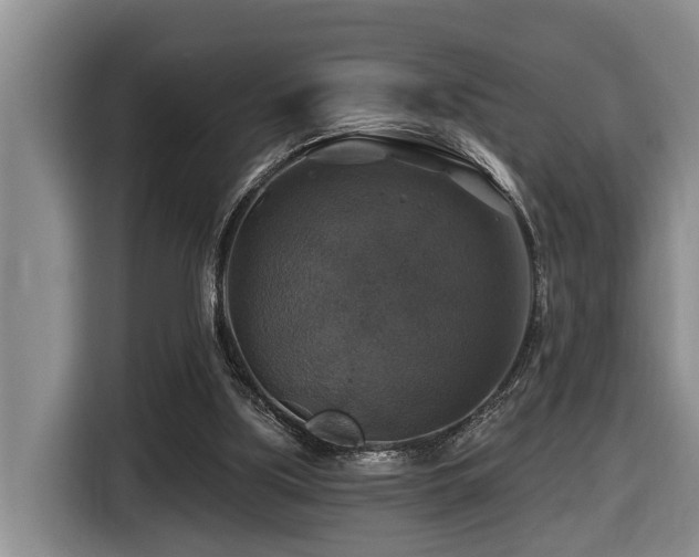 X0000116450059200912081626
