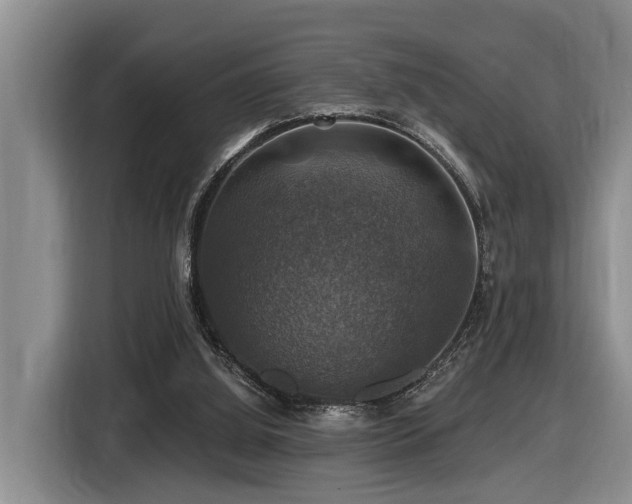 X0000116450060200912081626