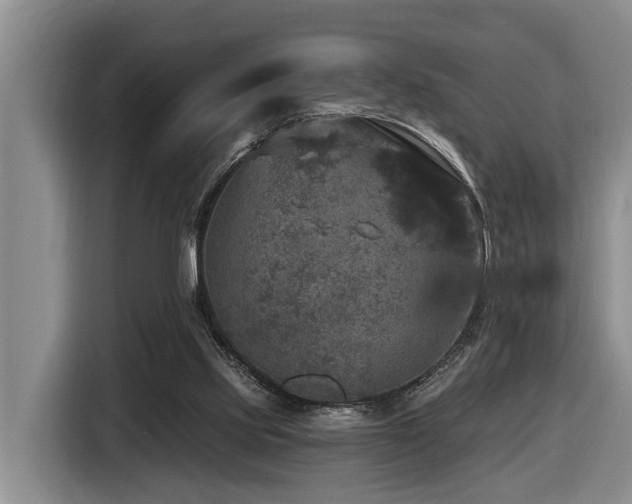 X0000116450061200912081626