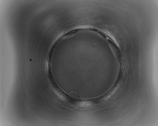 X0000116450063200912081626