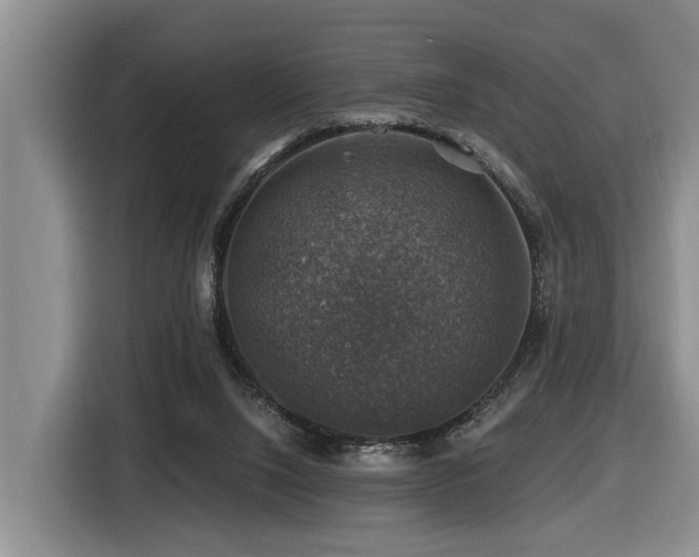 X0000116450064200912081626