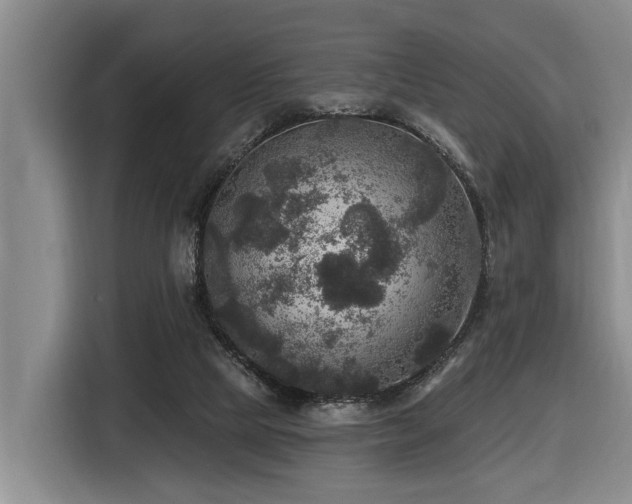 X0000116450065200912081626