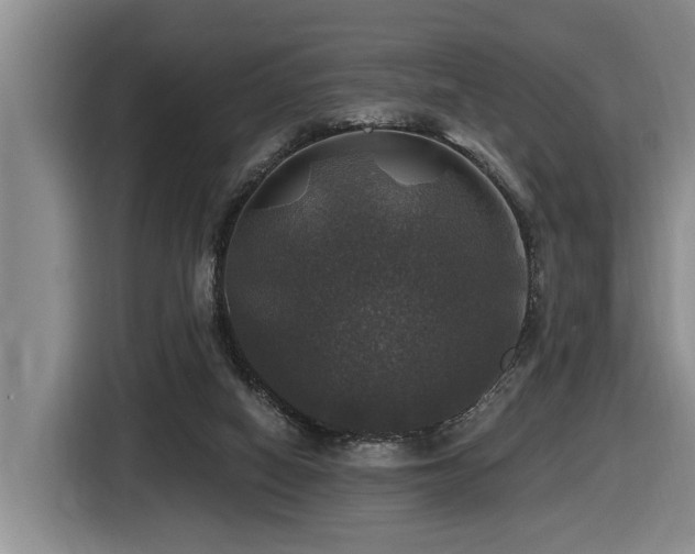 X0000116450066200912081626