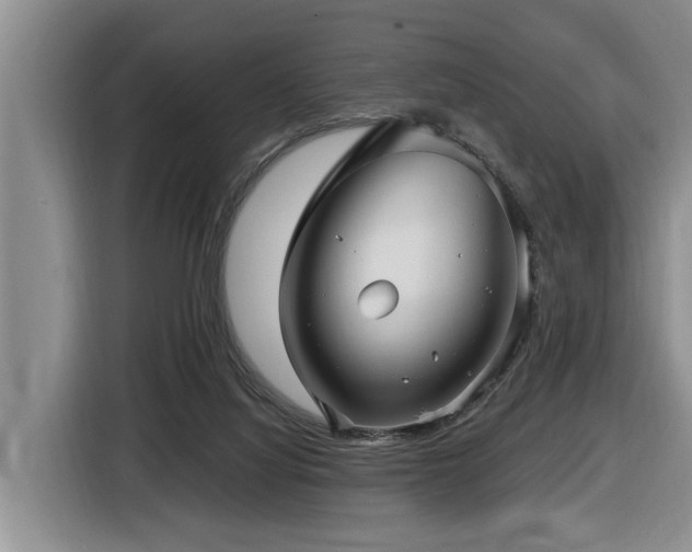 X0000116450068200912081626