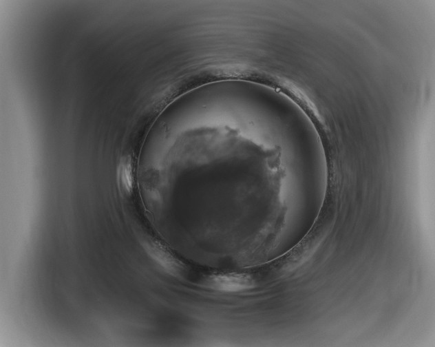 X0000116450069200912081627