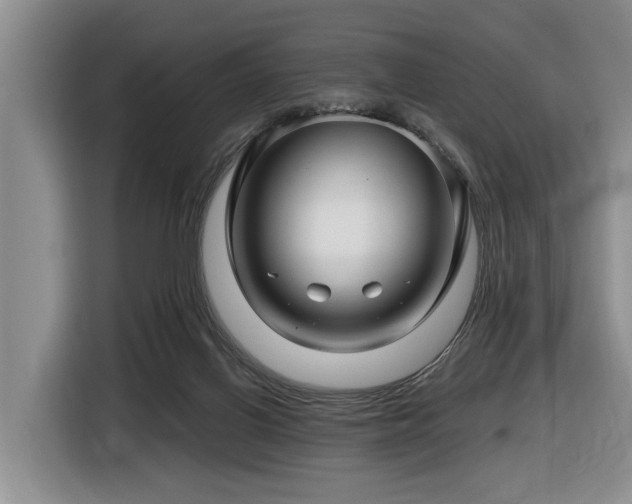 X0000116450070200912081627
