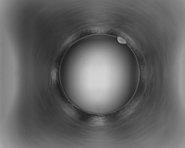 X0000116450071200912081627