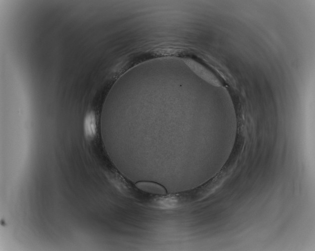 X0000116450075200912081627