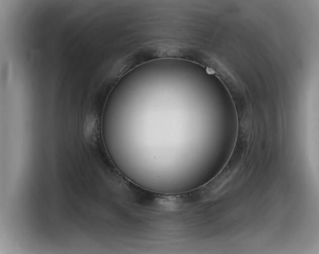 X0000116450079200912081627