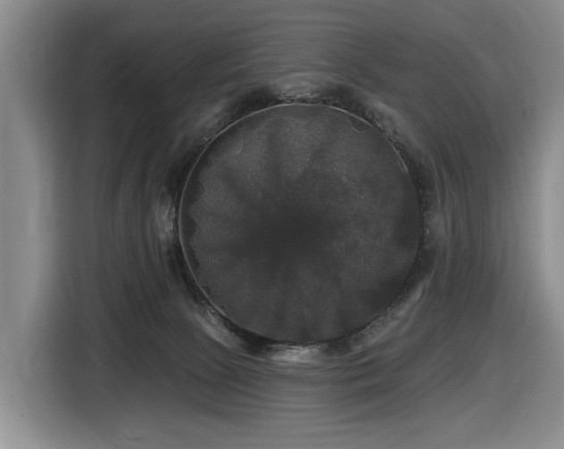 X0000116450081200912081627