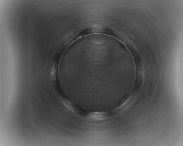 X0000116450082200912081627
