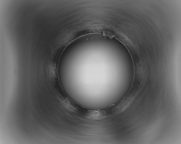 X0000116450083200912081627