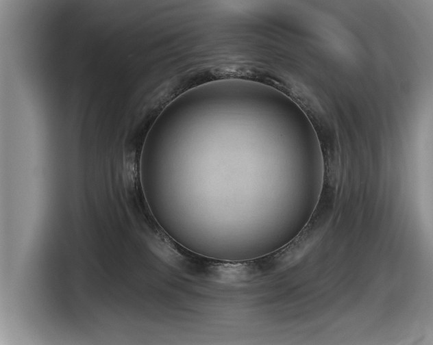 X0000116450085200912081627