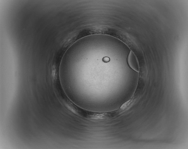 X0000116450086200912081627