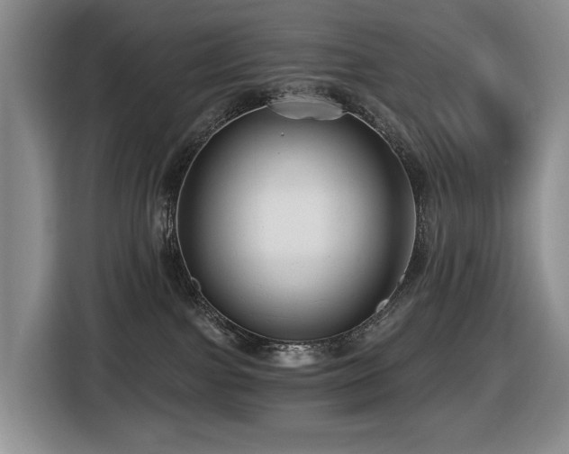 X0000116450091200912081627