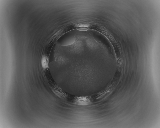 X0000116450095200912081627