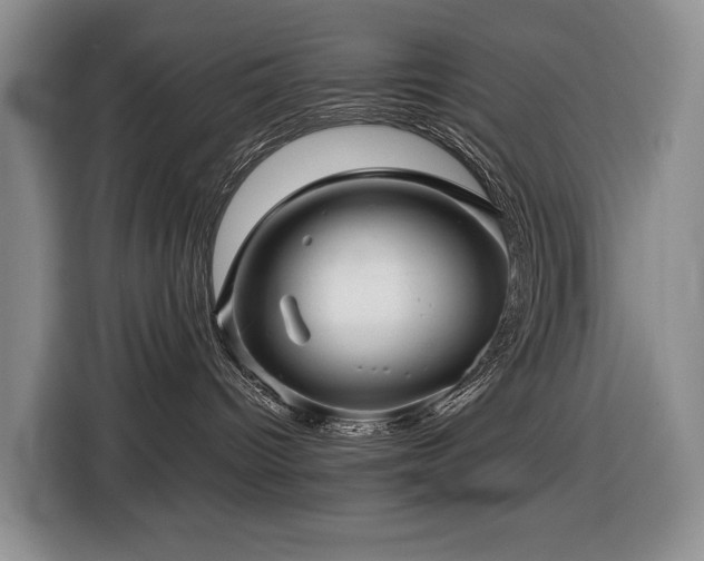 X0000116450096200912081627