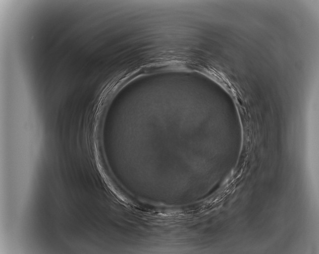 X0000116450097200912081626