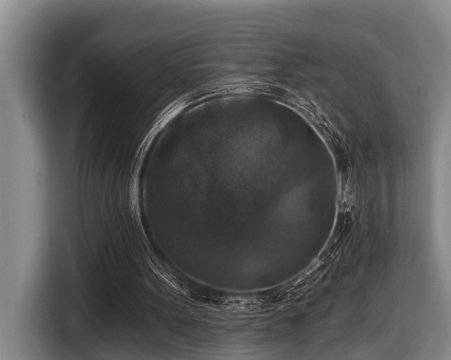 X0000116450099200912081626