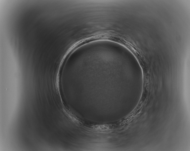 X0000116450100200912081626