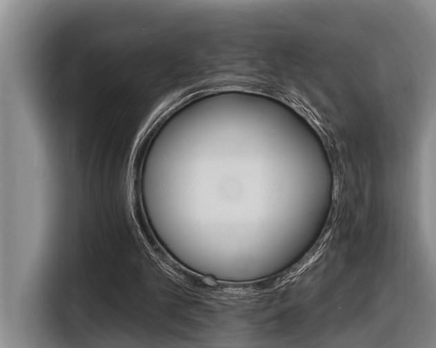 X0000116450101200912081626