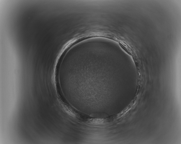 X0000116450104200912081626