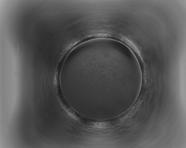 X0000116450105200912081626
