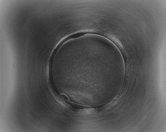 X0000116450108200912081626
