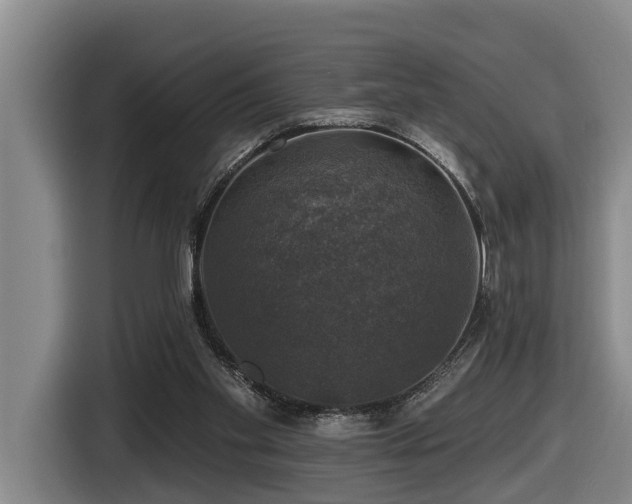 X0000116450109200912081626