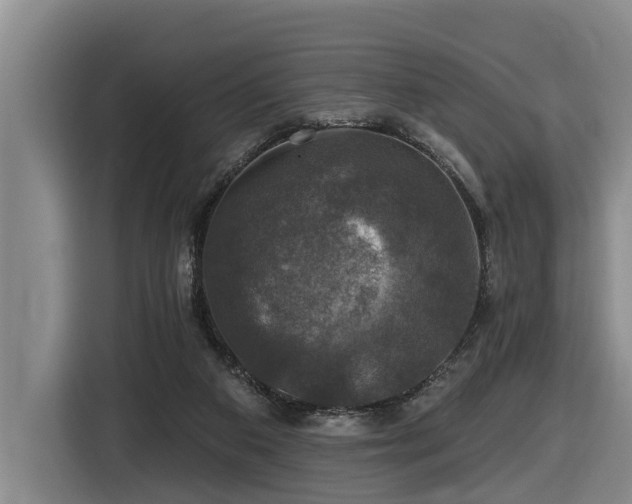 X0000116450113200912081626