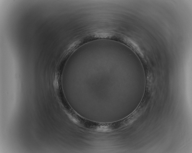 X0000116450114200912081626