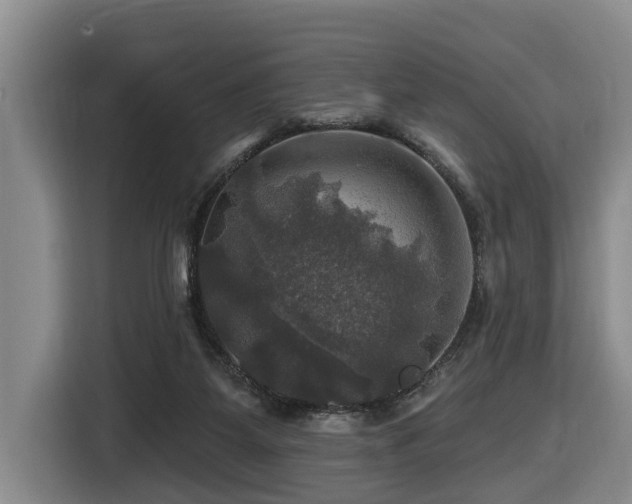 X0000116450115200912081626