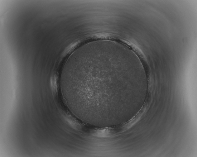 X0000116450116200912081626
