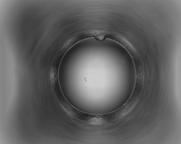 X0000116450119200912081626