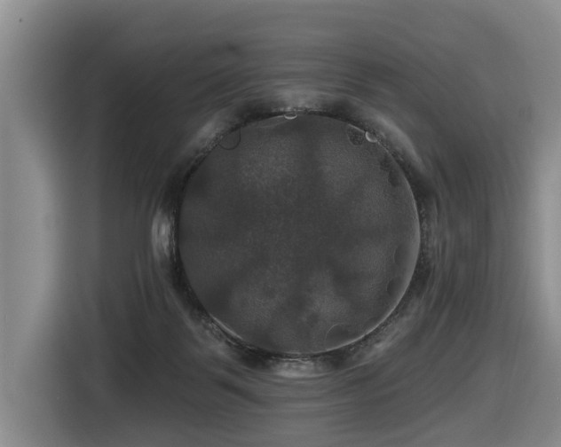 X0000116450123200912081626