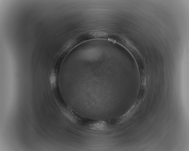 X0000116450124200912081626