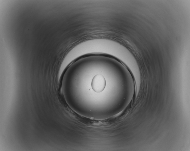 X0000116450125200912081626