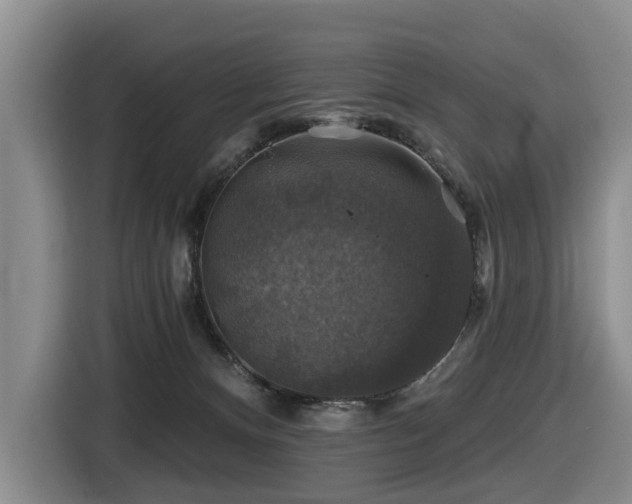 X0000116450128200912081626