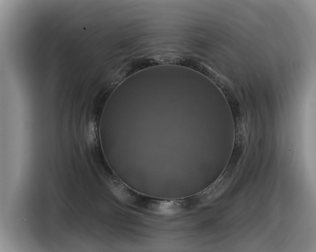 X0000116450130200912081626