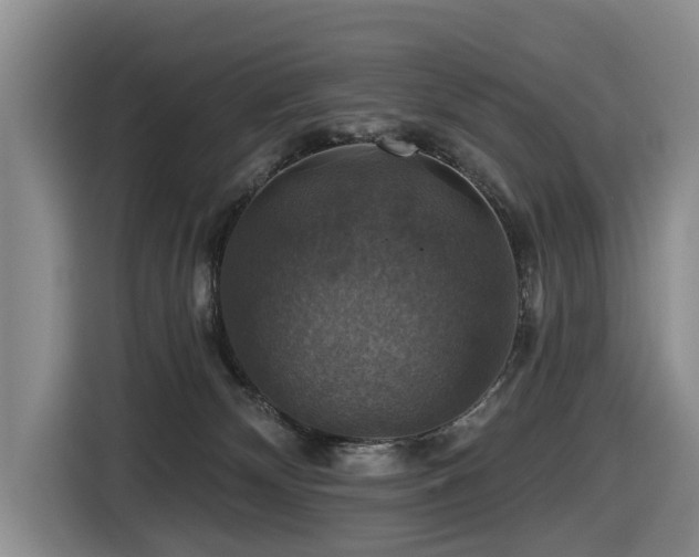 X0000116450132200912081626