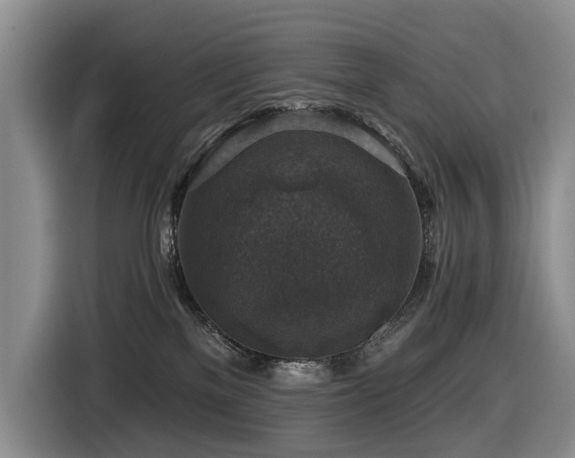 X0000116450137200912081626