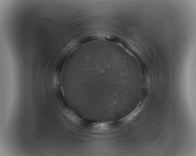 X0000116450140200912081626