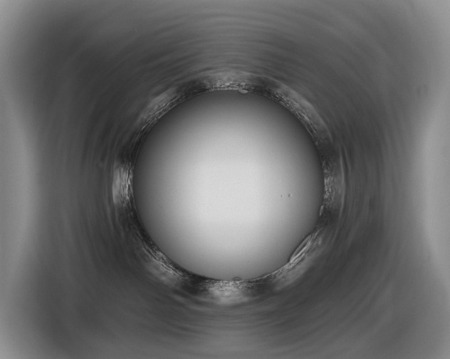 X0000116450142200912081626