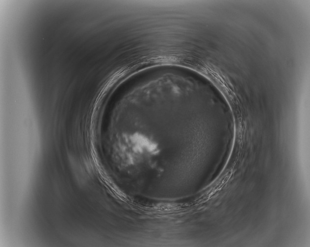 X0000116450145200912081625